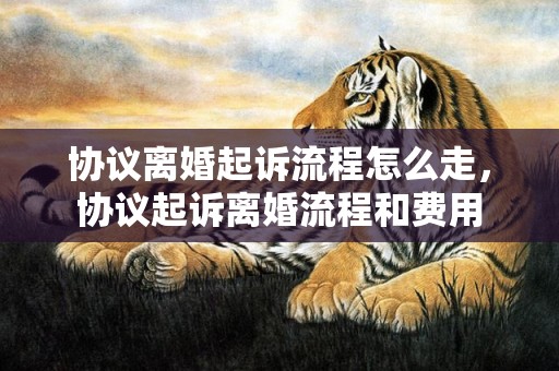 协议离婚起诉流程怎么走，协议起诉离婚流程和费用