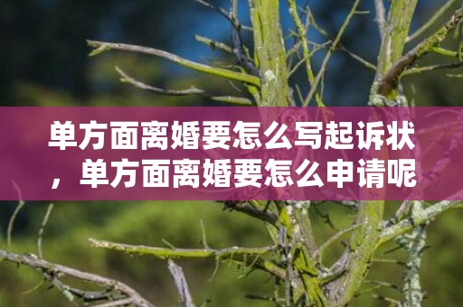 单方面离婚要怎么写起诉状，单方面离婚要怎么申请呢
