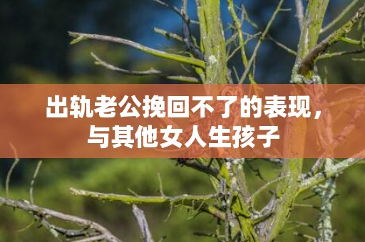 出轨老公挽回不了的表现，与其他女人生孩子