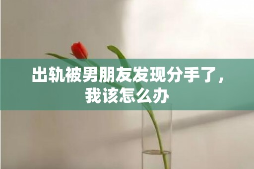 出轨被男朋友发现分手了，我该怎么办