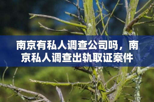 南京有私人调查公司吗，南京私人调查出轨取证案件