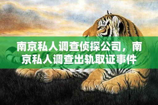 南京私人调查侦探公司，南京私人调查出轨取证事件