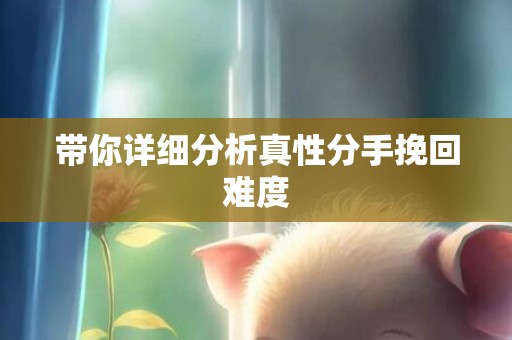 带你详细分析真性分手挽回难度