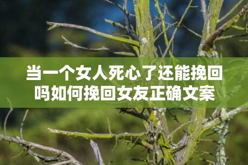 当一个女人死心了还能挽回吗如何挽回女友正确文案