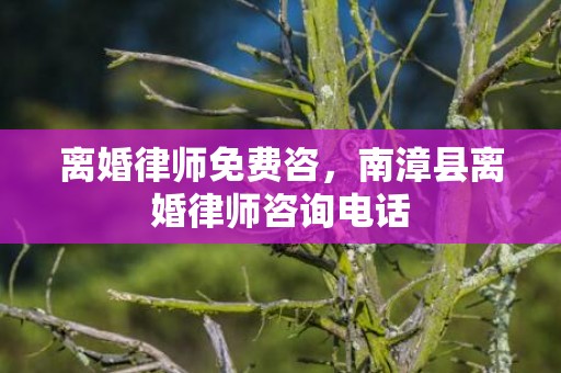 离婚律师免费咨，南漳县离婚律师咨询电话