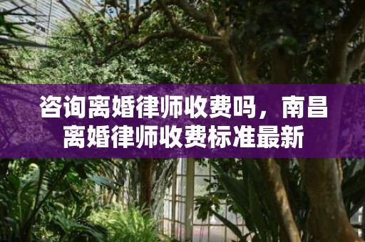 咨询离婚律师收费吗，南昌离婚律师收费标准最新
