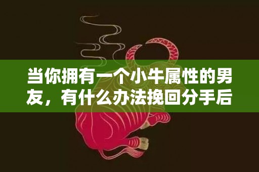 当你拥有一个小牛属性的男友，有什么办法挽回分手后的男朋友？