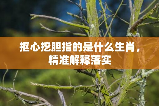 抠心挖胆指的是什么生肖，精准解释落实