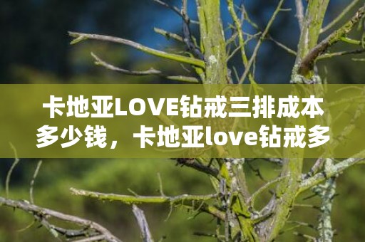 卡地亚LOVE钻戒三排成本多少钱，卡地亚love钻戒多少钱