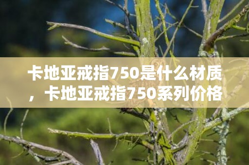 卡地亚戒指750是什么材质，卡地亚戒指750系列价格