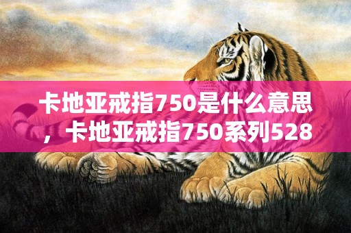 卡地亚戒指750是什么意思，卡地亚戒指750系列52833a