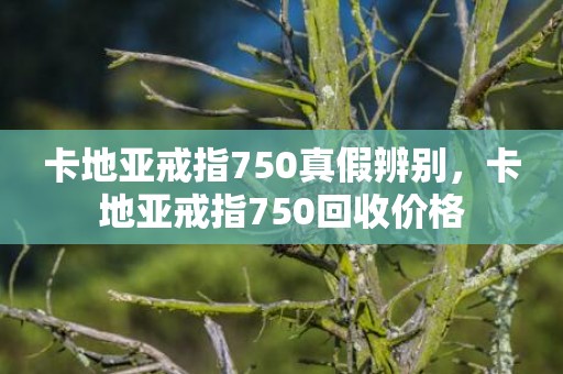 卡地亚戒指750真假辨别，卡地亚戒指750回收价格