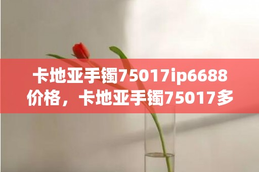 卡地亚手镯75017ip6688价格，卡地亚手镯75017多少钱