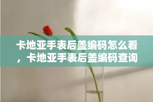 卡地亚手表后盖编码怎么看，卡地亚手表后盖编码查询