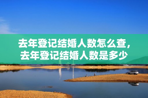 去年登记结婚人数怎么查，去年登记结婚人数是多少