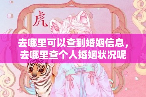 去哪里可以查到婚姻信息，去哪里查个人婚姻状况呢