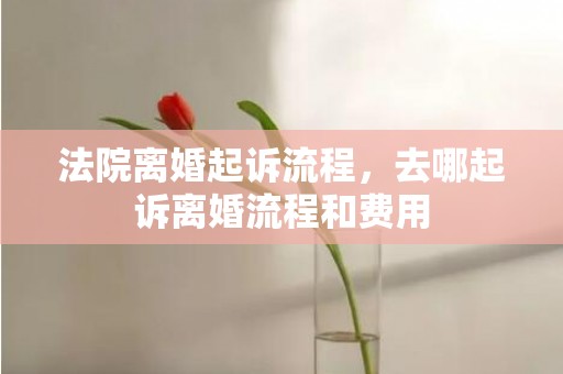 法院离婚起诉流程，去哪起诉离婚流程和费用