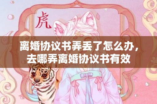 离婚协议书弄丢了怎么办，去哪弄离婚协议书有效