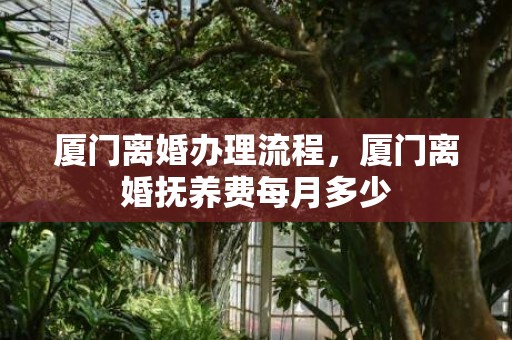厦门离婚办理流程，厦门离婚抚养费每月多少