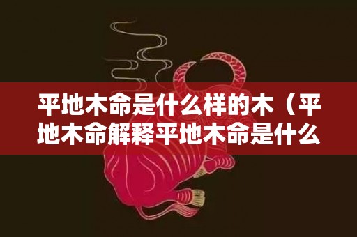 平地木命是什么样的木（平地木命解释平地木命是什么意思啊）