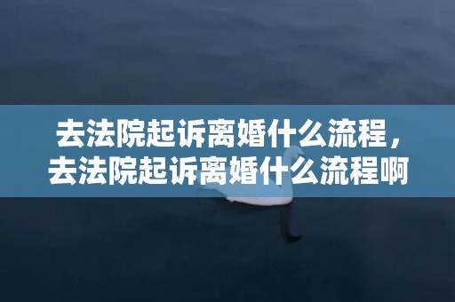 去法院起诉离婚什么流程，去法院起诉离婚什么流程啊