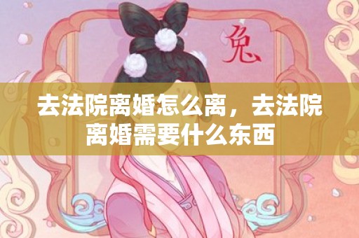 去法院离婚怎么离，去法院离婚需要什么东西