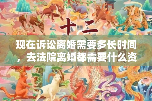 现在诉讼离婚需要多长时间，去法院离婚都需要什么资料