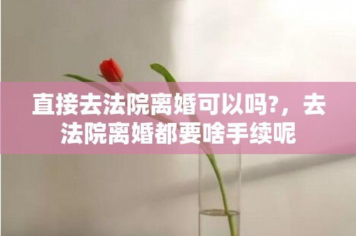 直接去法院离婚可以吗?，去法院离婚都要啥手续呢