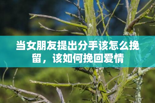 当女朋友提出分手该怎么挽留，该如何挽回爱情