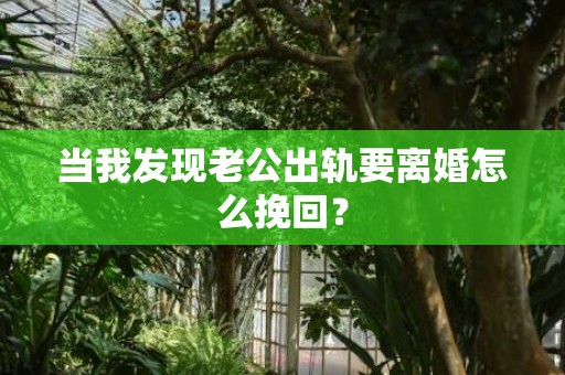 当我发现老公出轨要离婚怎么挽回？