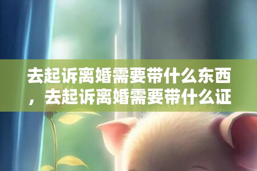 去起诉离婚需要带什么东西，去起诉离婚需要带什么证件