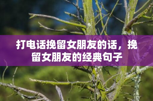 打电话挽留女朋友的话，挽留女朋友的经典句子
