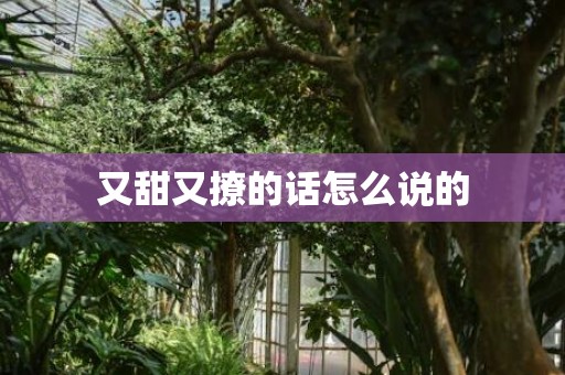 又甜又撩的话怎么说的