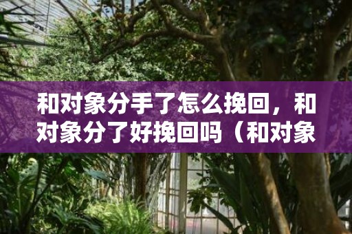 和对象分手了怎么挽回，和对象分了好挽回吗（和对象分了怎么挽回的话）