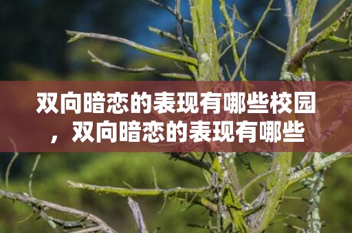 双向暗恋的表现有哪些校园，双向暗恋的表现有哪些