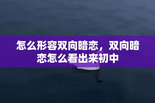 怎么形容双向暗恋，双向暗恋怎么看出来初中