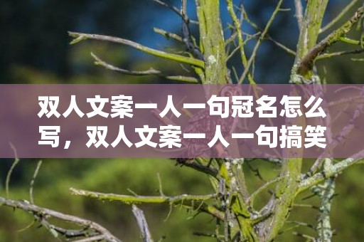 双人文案一人一句冠名怎么写，双人文案一人一句搞笑