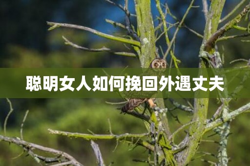 聪明女人如何挽回外遇丈夫