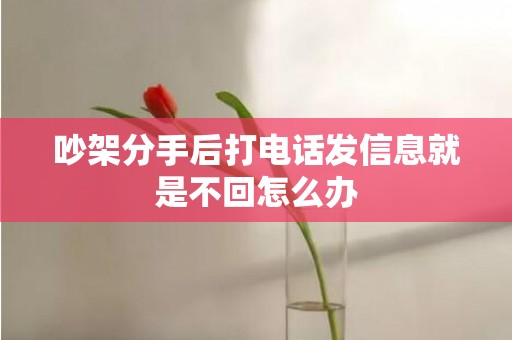 吵架分手后打电话发信息就是不回怎么办