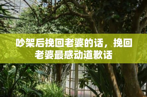 吵架后挽回老婆的话，挽回老婆最感动道歉话