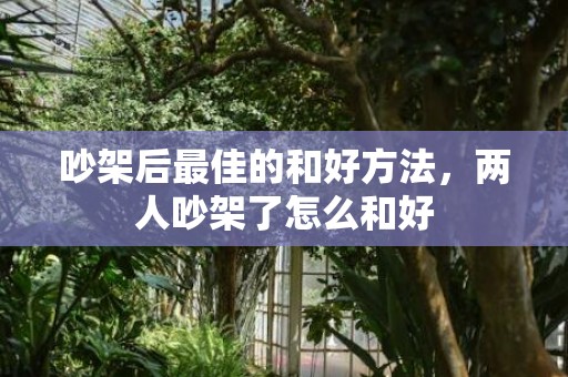 吵架后最佳的和好方法，两人吵架了怎么和好