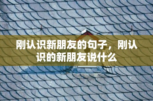 刚认识新朋友的句子，刚认识的新朋友说什么