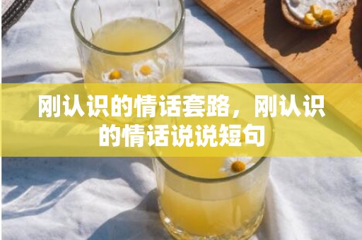 刚认识的情话套路，刚认识的情话说说短句