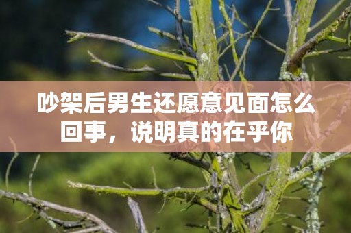 吵架后男生还愿意见面怎么回事，说明真的在乎你