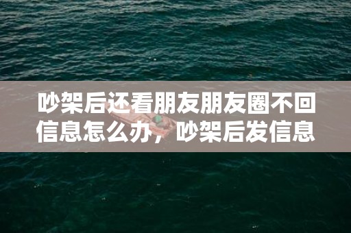 吵架后还看朋友朋友圈不回信息怎么办，吵架后发信息男人不回复