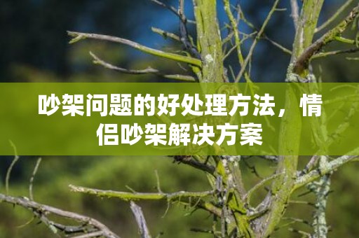 吵架问题的好处理方法，情侣吵架解决方案
