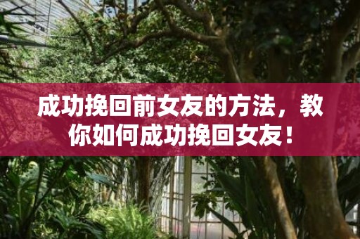 成功挽回前女友的方法，教你如何成功挽回女友！
