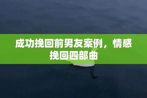 成功挽回前男友案例，情感挽回四部曲