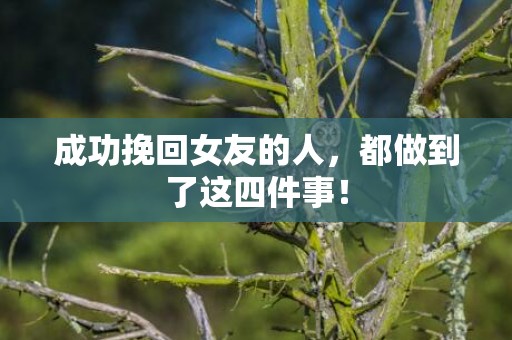 成功挽回女友的人，都做到了这四件事！