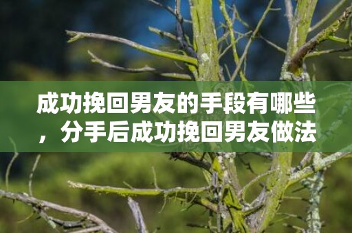 成功挽回男友的手段有哪些，分手后成功挽回男友做法！